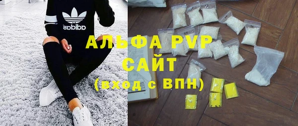 PSILOCYBIN Балахна
