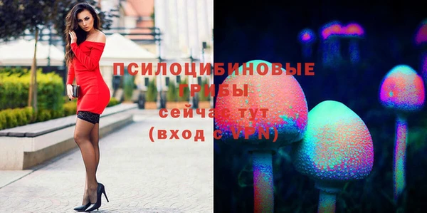 гидропоника Пестово