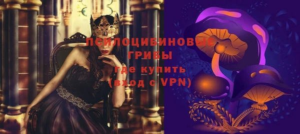 PSILOCYBIN Балахна
