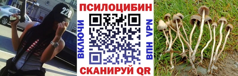 Галлюциногенные грибы GOLDEN TEACHER Тобольск