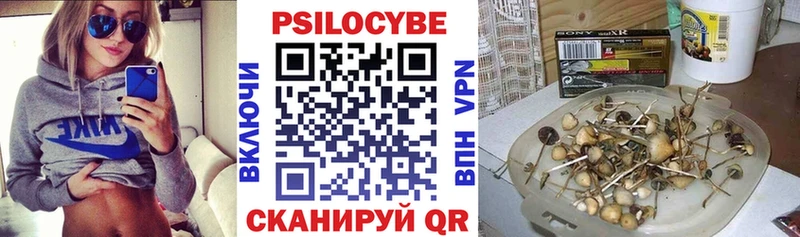 Псилоцибиновые грибы мицелий  Тобольск 